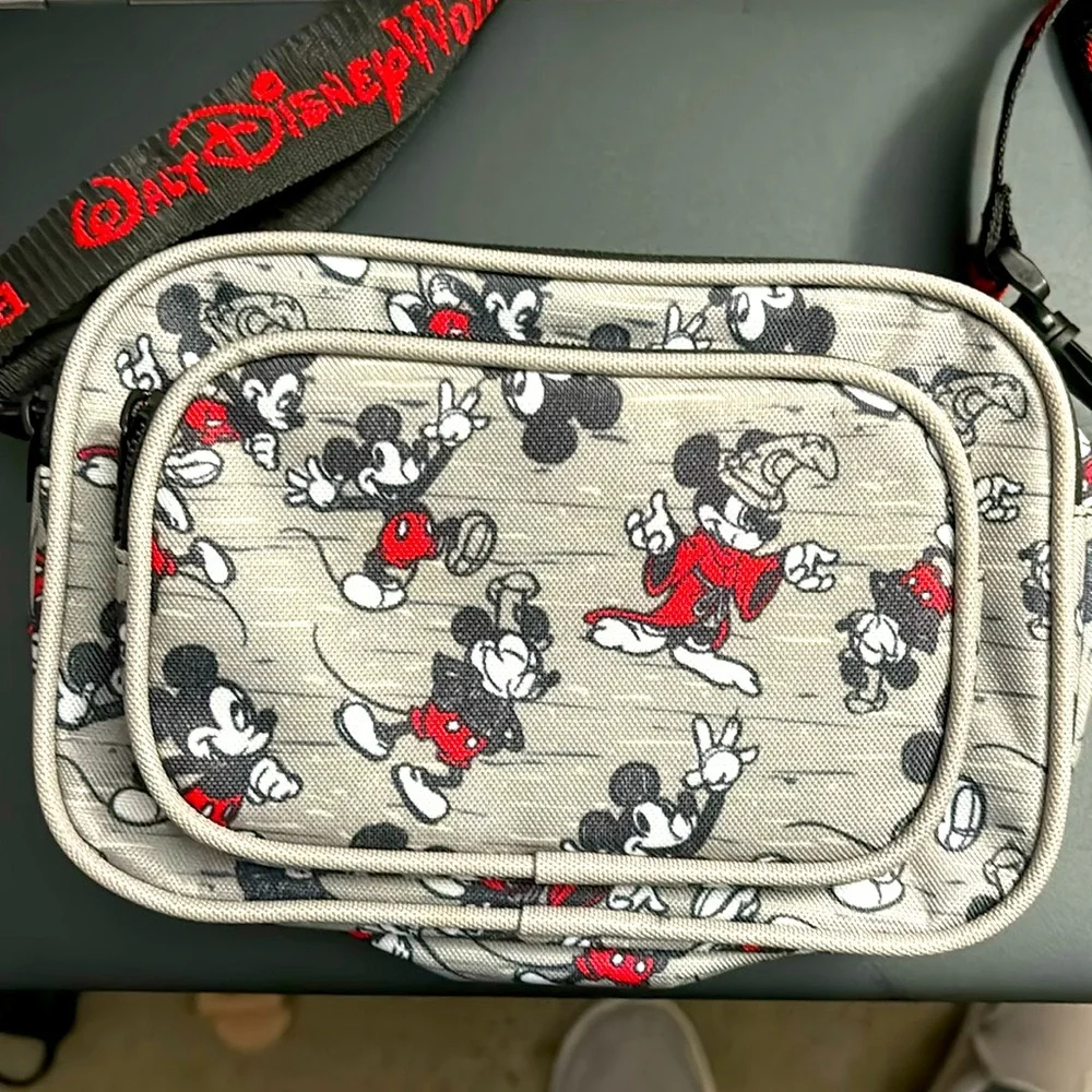 Small Walt Disney World bag with Walt Disney world strap - Picture 1 of 3